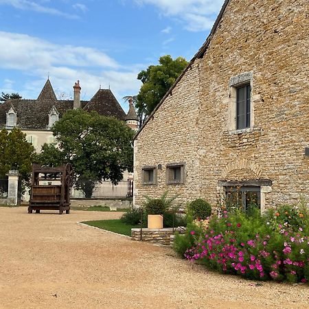 Chateau Du Mauny, Gites Et Chambres D'Hotes En Bourgogne Rosey Exterior foto