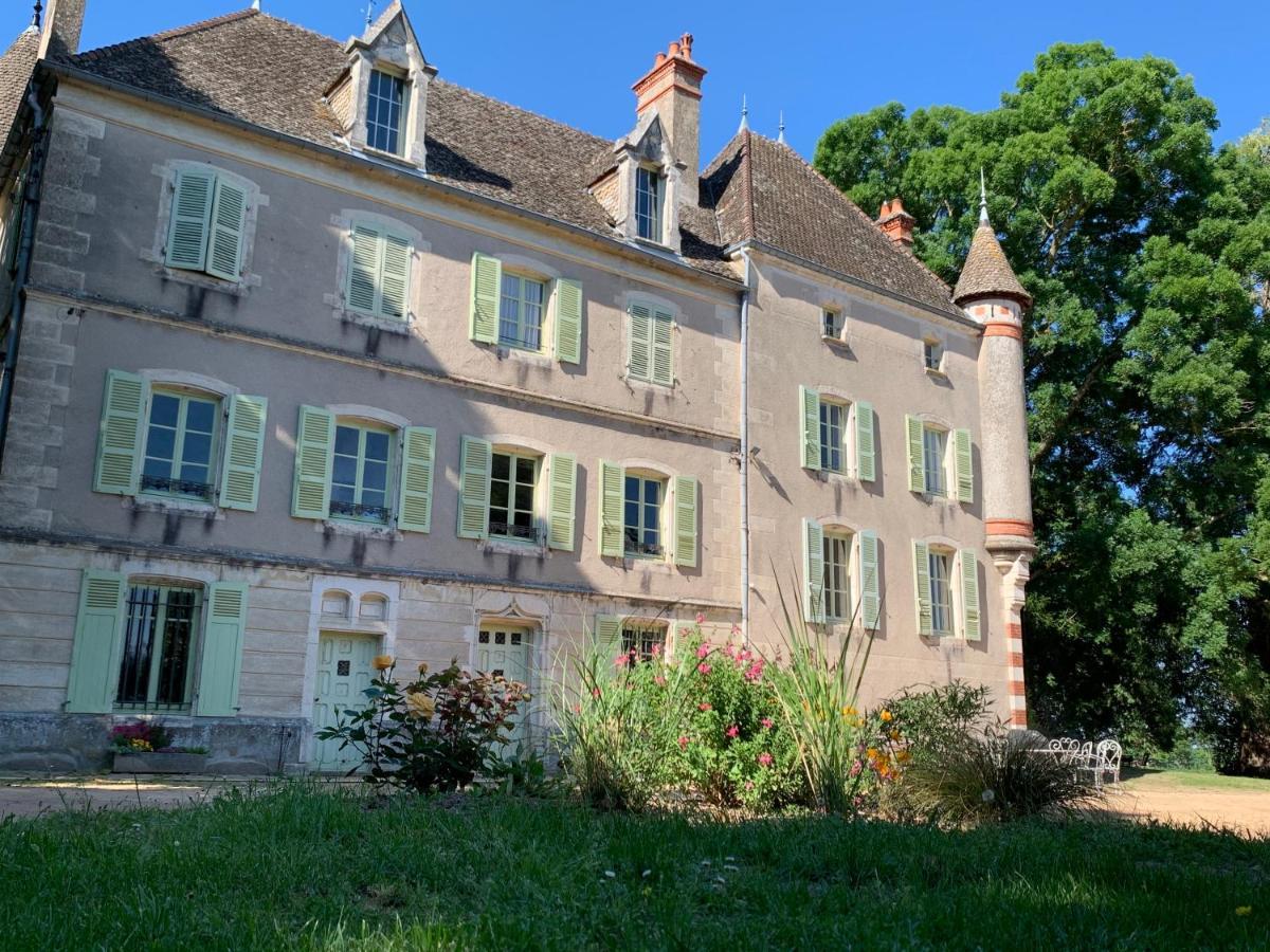 Chateau Du Mauny, Gites Et Chambres D'Hotes En Bourgogne Rosey Exterior foto