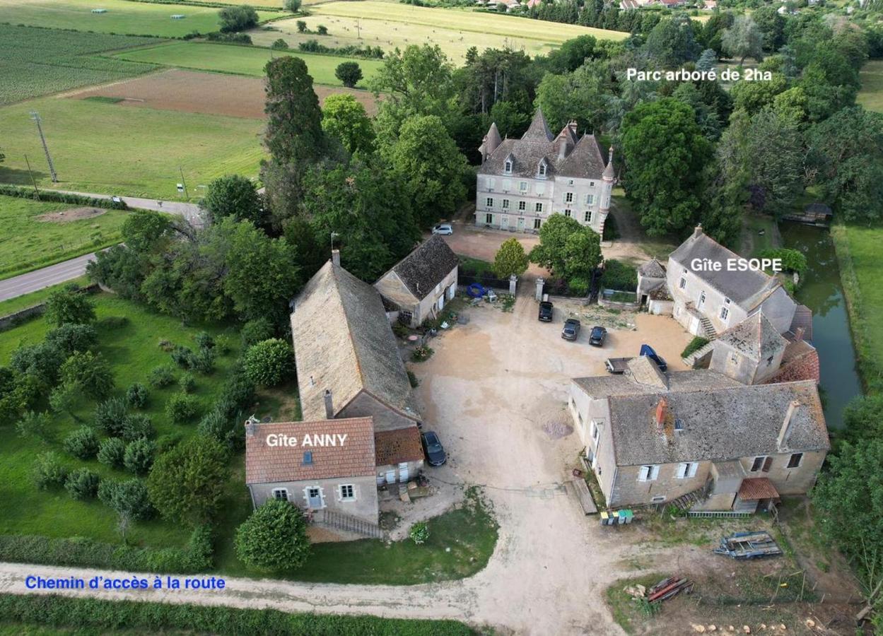 Chateau Du Mauny, Gites Et Chambres D'Hotes En Bourgogne Rosey Exterior foto