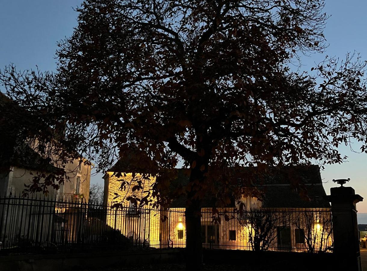 Chateau Du Mauny, Gites Et Chambres D'Hotes En Bourgogne Rosey Exterior foto