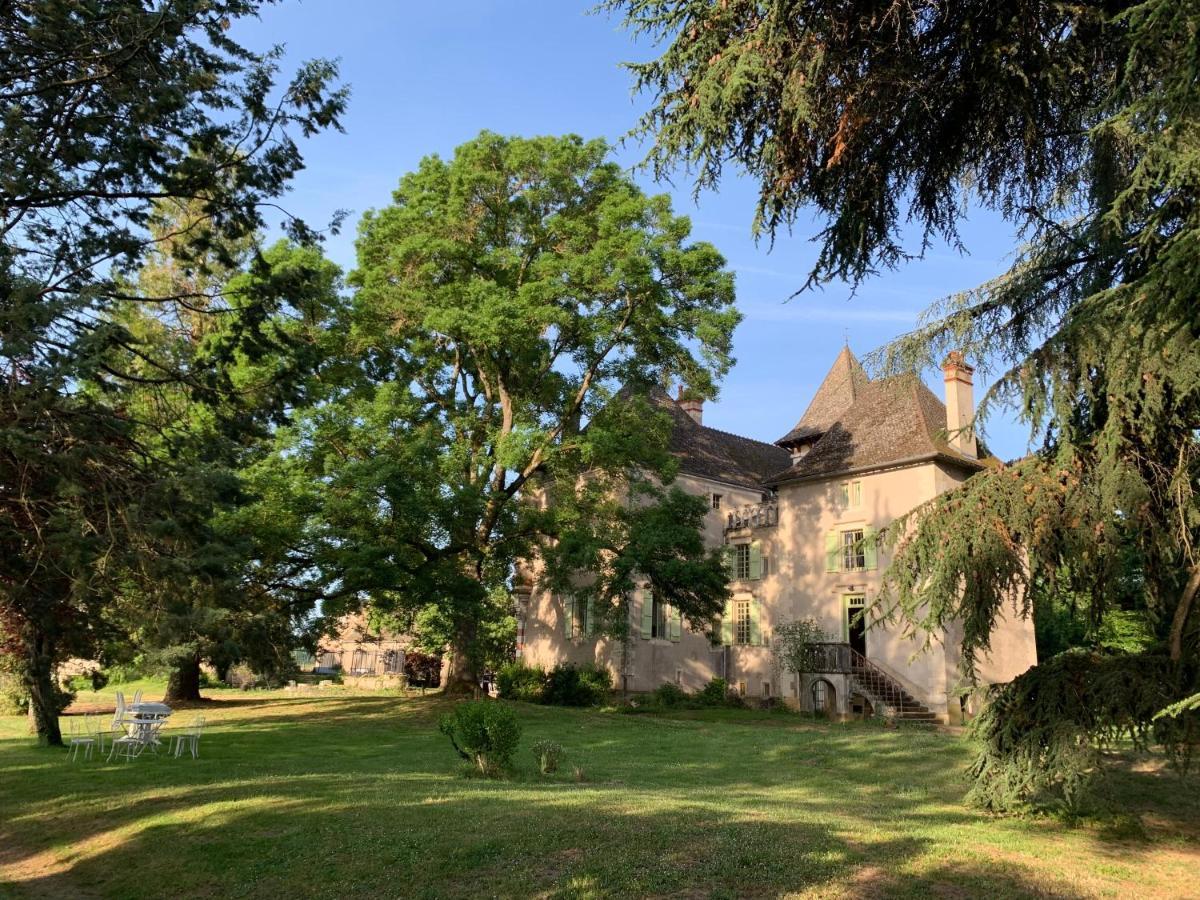 Chateau Du Mauny, Gites Et Chambres D'Hotes En Bourgogne Rosey Exterior foto