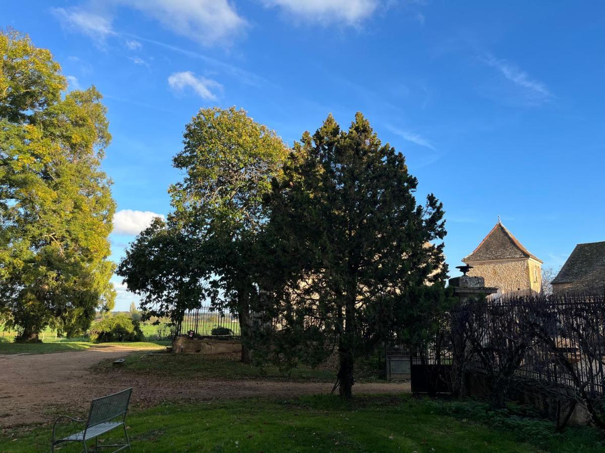 Chateau Du Mauny, Gites Et Chambres D'Hotes En Bourgogne Rosey Exterior foto