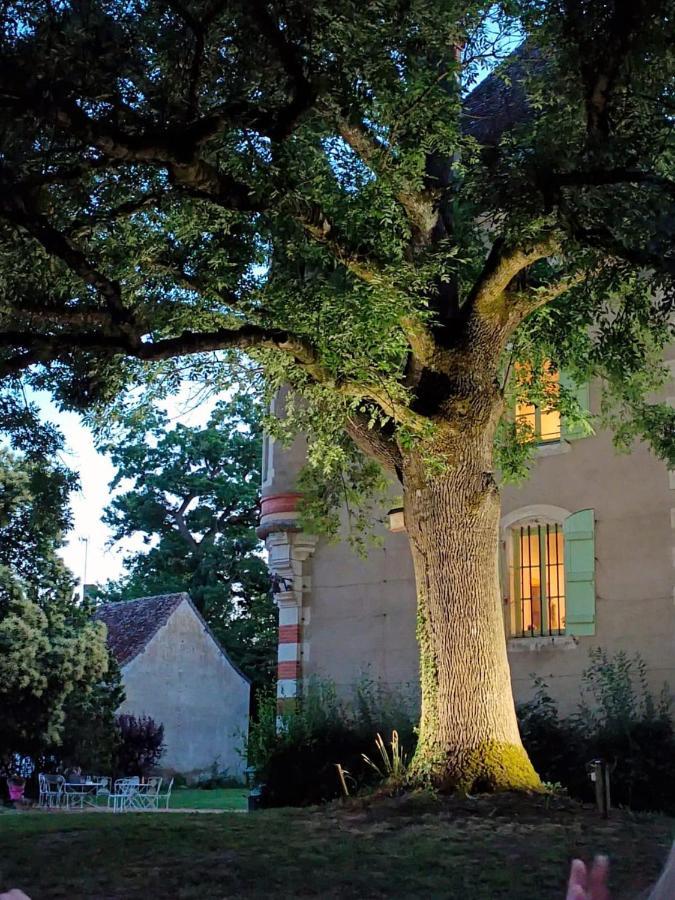 Chateau Du Mauny, Gites Et Chambres D'Hotes En Bourgogne Rosey Exterior foto