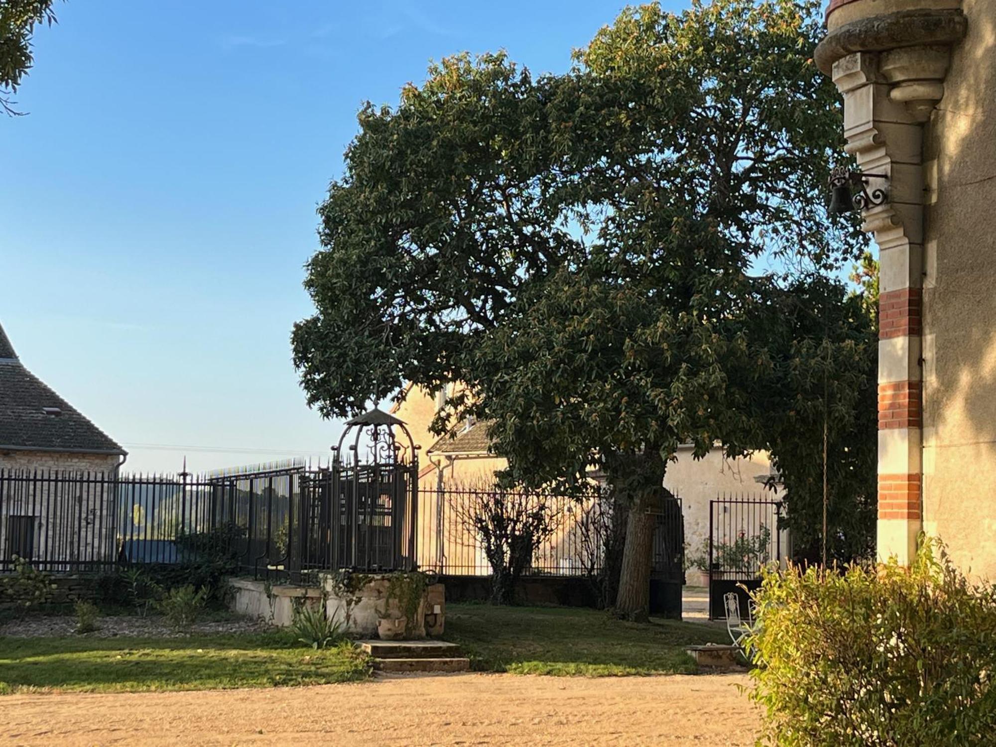 Chateau Du Mauny, Gites Et Chambres D'Hotes En Bourgogne Rosey Exterior foto