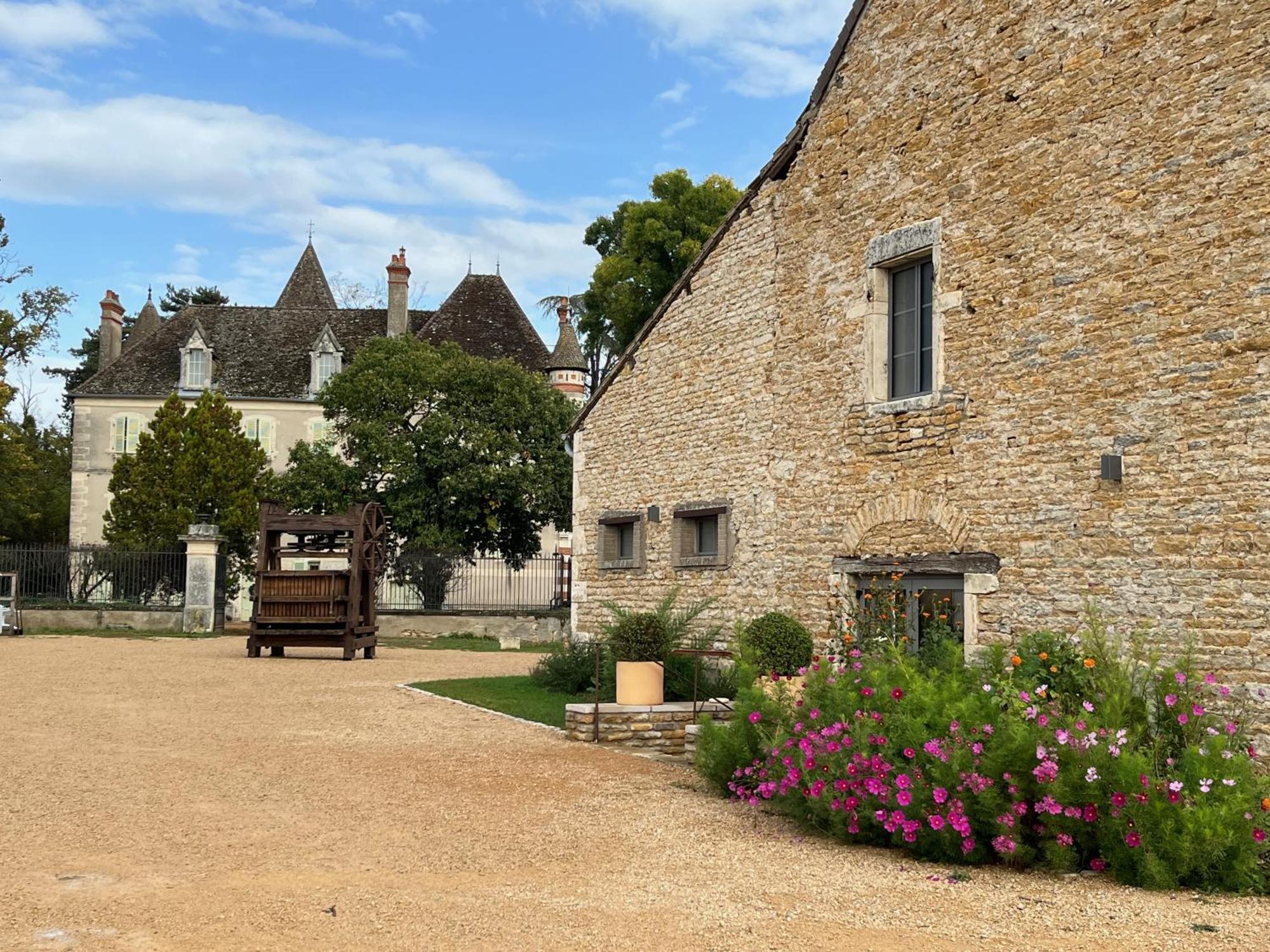 Chateau Du Mauny, Gites Et Chambres D'Hotes En Bourgogne Rosey Exterior foto